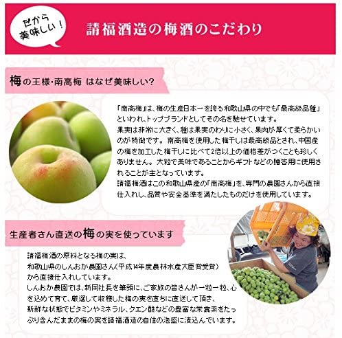 請福酒造 請福梅酒の商品画像3 
