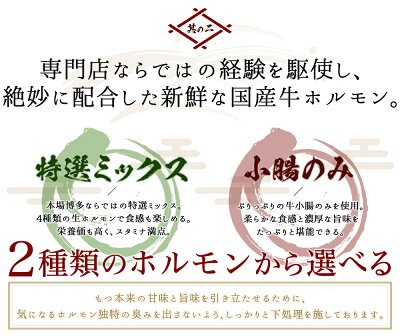 芳々亭 博多もつ鍋 お試しセットの商品画像5 