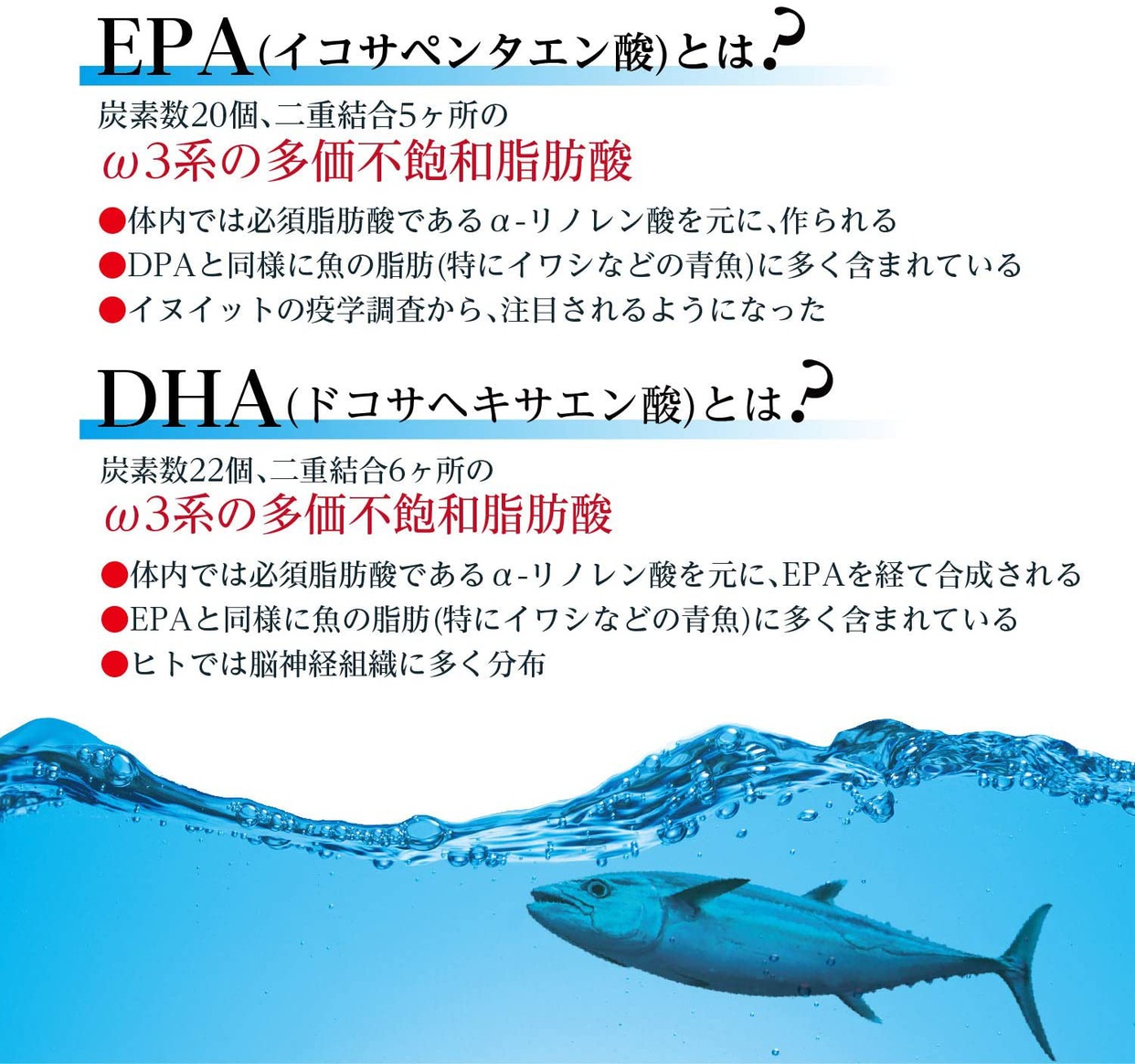 ORIHIRO(オリヒロ) フィッシュオイルの商品画像4 