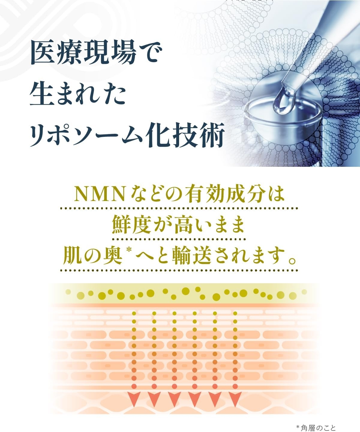YÓANDO(ヨウアンドウ) NMN 13 Serumの商品画像2 