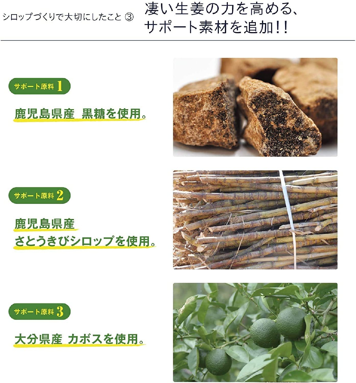 九州アスリート家族 長崎県産 生姜シロップの商品画像6 