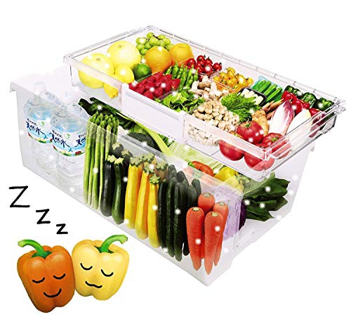 日立(HITACHI) 冷凍冷蔵庫 R-S4000Hの商品画像6 