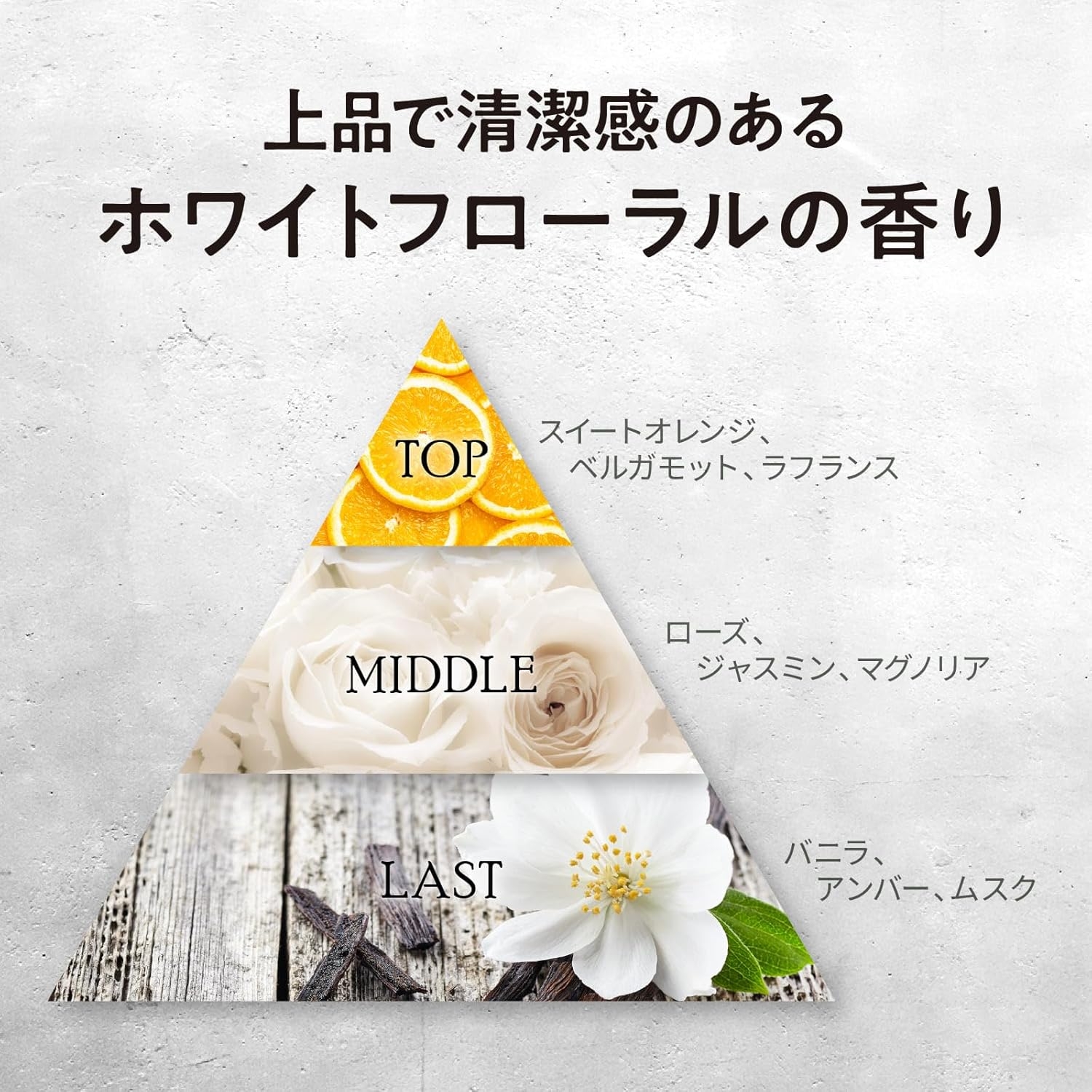 Tottimo!(トッティモ) ディップカラーの商品画像5 