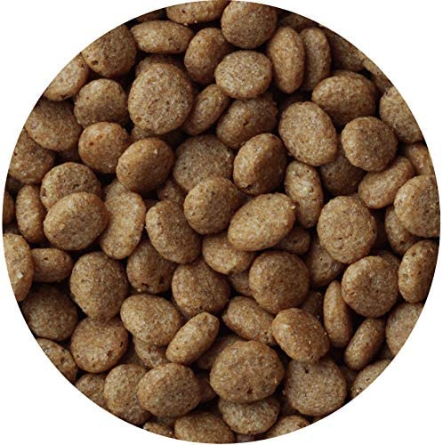 Medycoat(メディコート) アレルゲンカット 魚＆お米 1歳から 成犬用の商品画像4 