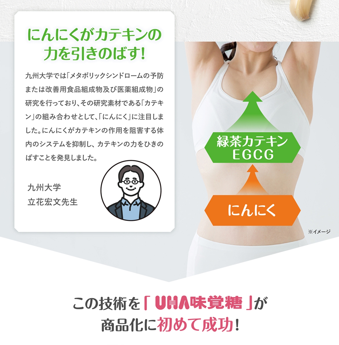 UHA味覚糖 スーパーカテキンDIETの商品画像6 