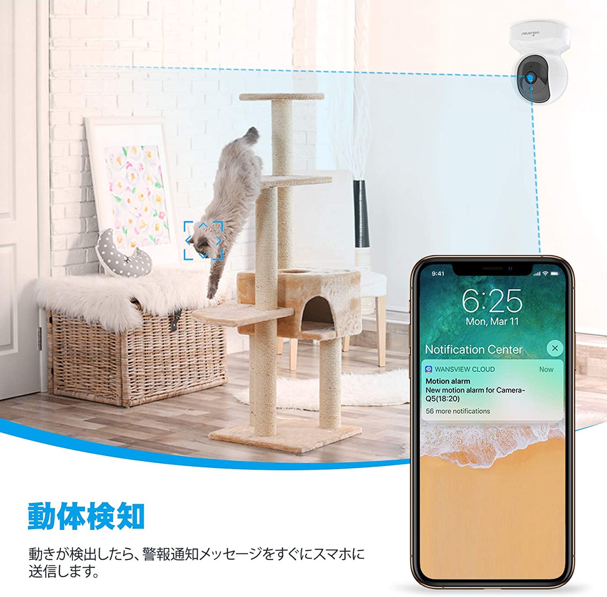 Wansview ネットワークカメラの商品画像6 