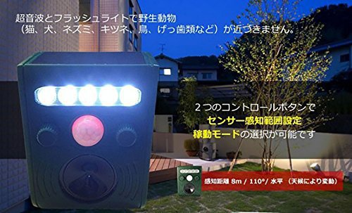 KYPLAZA(ケーワイプラザ) アニマルガーディアンの商品画像3 