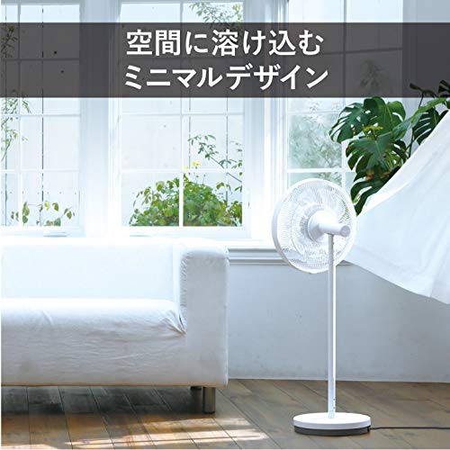 TWINBIRD(ツインバード) コアンダエア EF-E981の商品画像2 