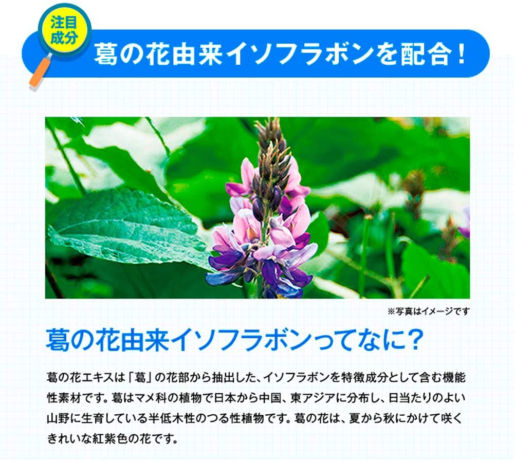PILLBOX(ピルボックス) onaka(おなか)の商品画像サムネ6 