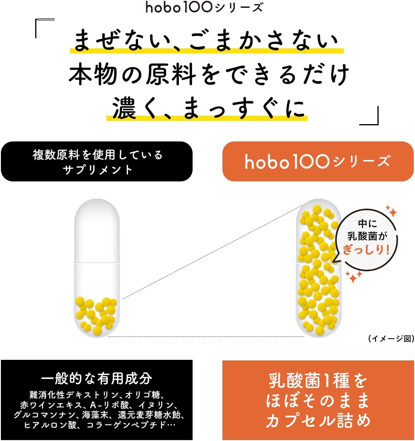 新谷酵素 hobo100 有胞子性乳酸菌の商品画像3 