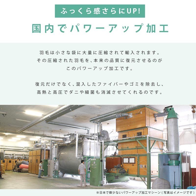 こだわり安眠館 羽毛布団 3SAの商品画像10 