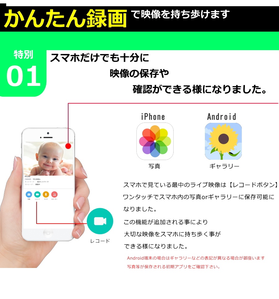 JSEED(ジェーシード) Baby07の商品画像12 