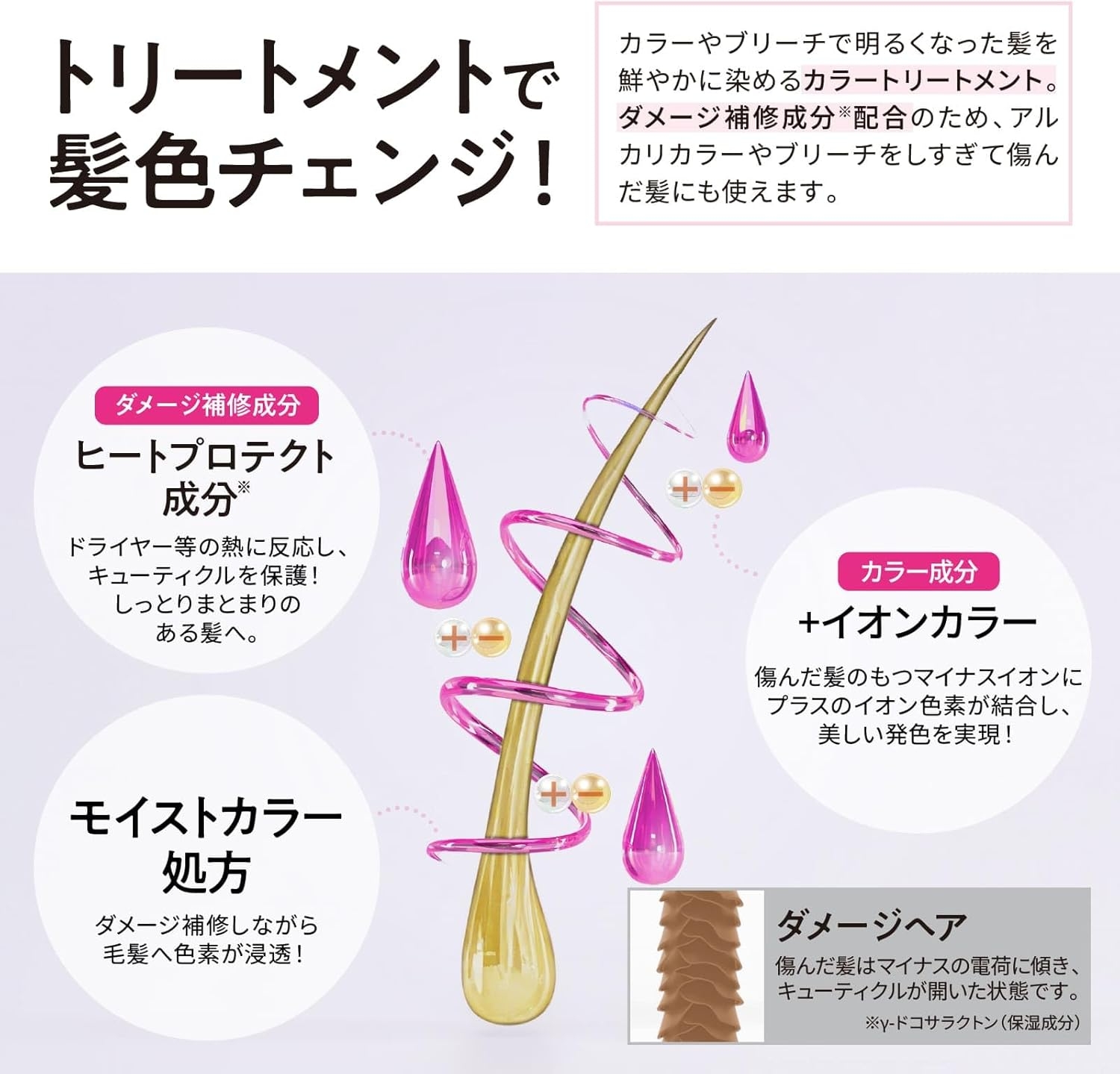 Tottimo!(トッティモ) ディップカラーの商品画像4 