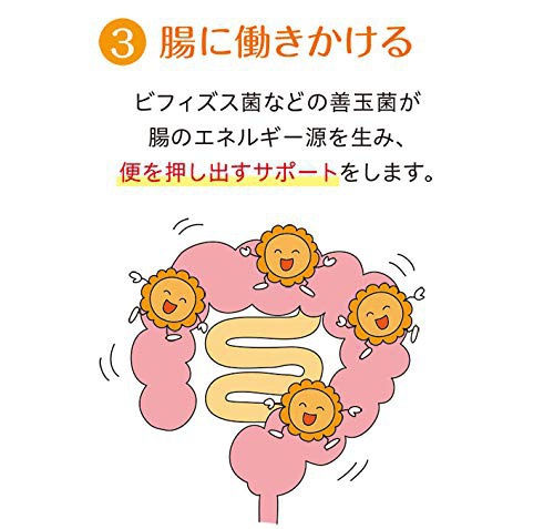 Nestle(ネスレ) ヘルスサイエンス アイソカルサポートファイバーの商品画像6 