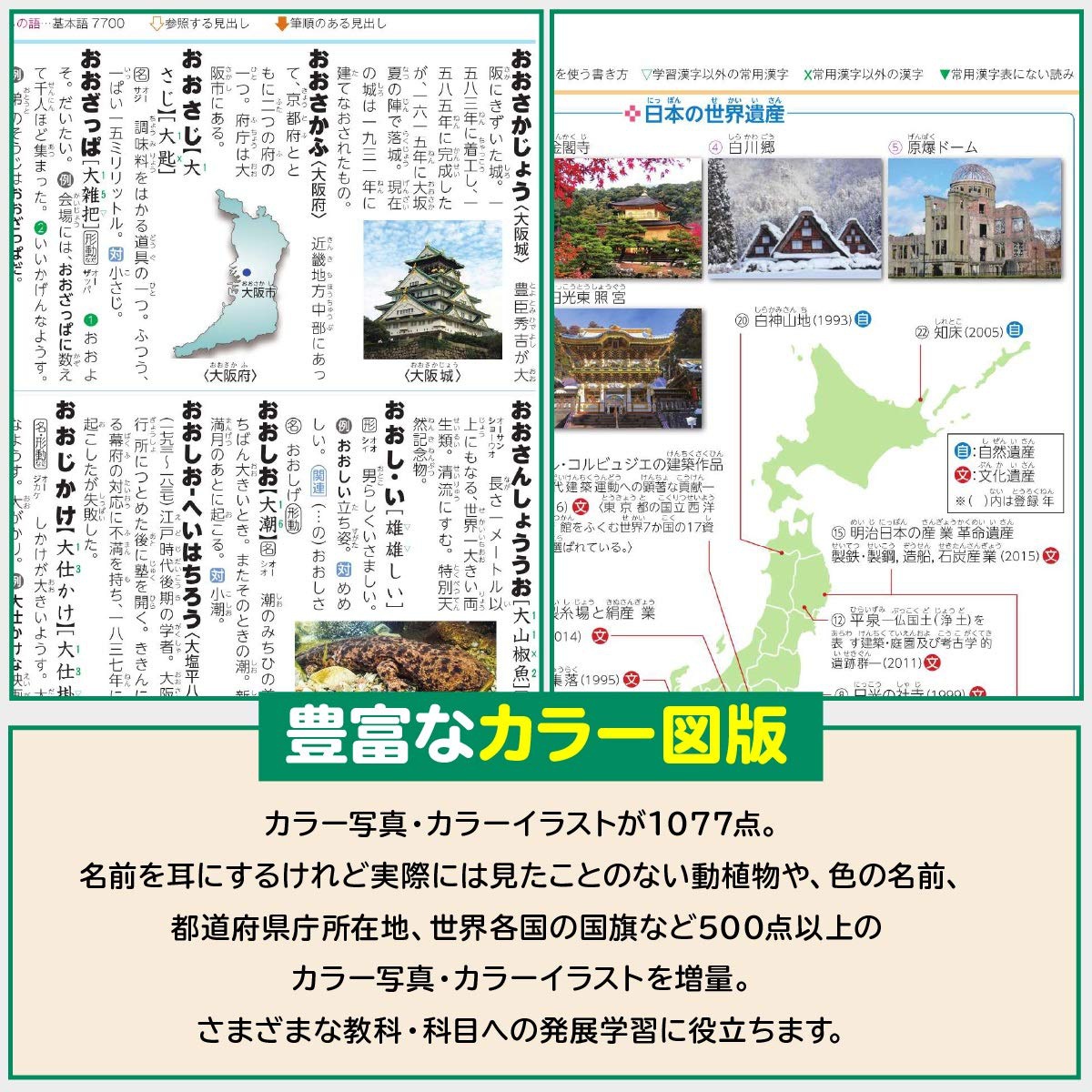 小学館(SHOGAKUKAN) 例解学習国語辞典 第十一版の商品画像3 