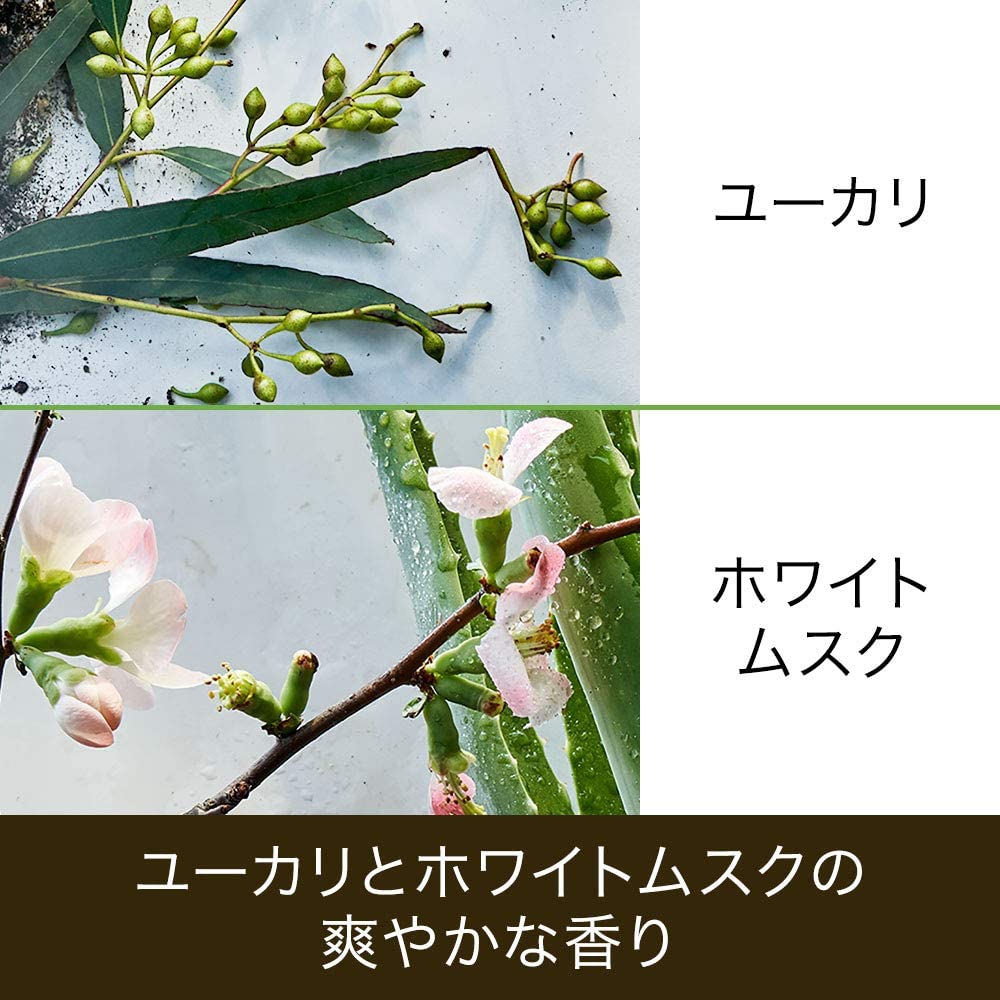Herbal Essences(ハーバルエッセンス) ビオリニュー アロエ&ユーカリ シャンプーの商品画像5