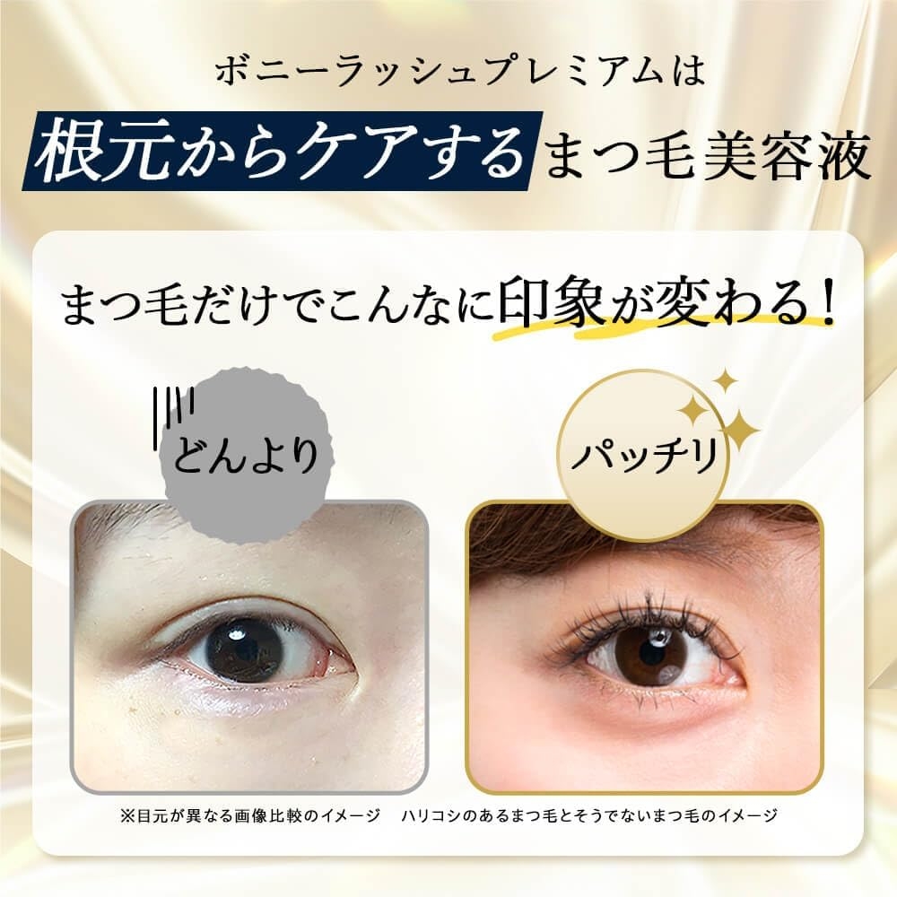 FABIUS(ファビウス) ボニーラッシュプレミアムの商品画像3 