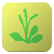 植物図鑑アプリおすすめ商品：macchisoft(マッチソフト) シンプル植物リスト 雑草編