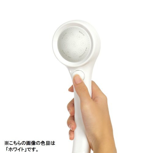 SANEI(サンエイ) シャワーヘッド レイニーメタリック PS-303-81XA-Cの