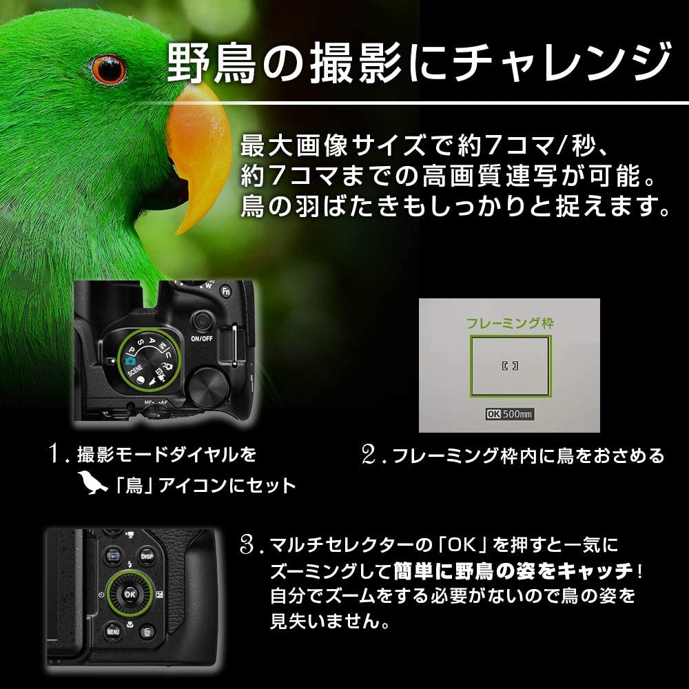 NIKON(ニコン) COOLPIX P1000の商品画像5 