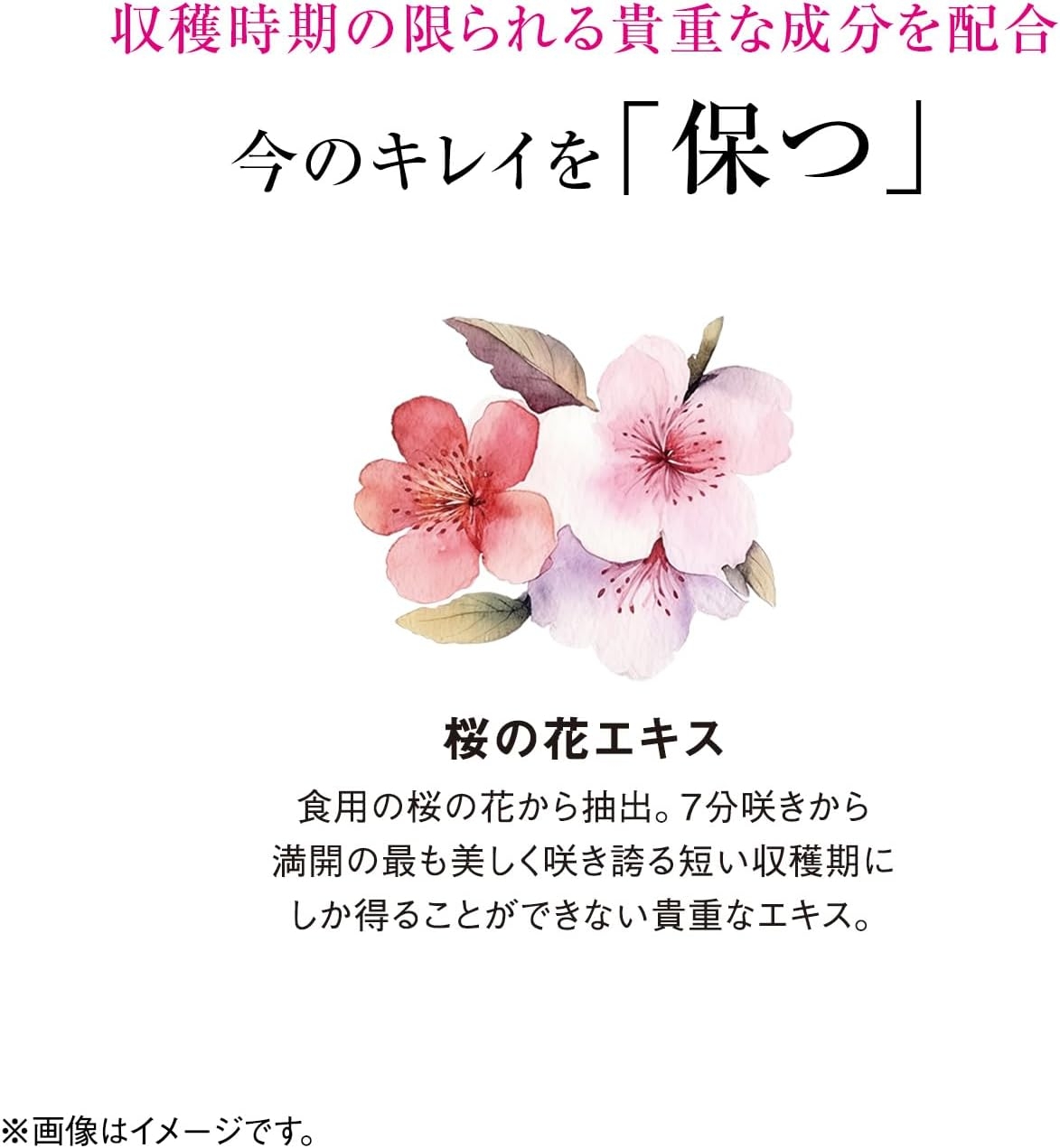 資生堂(SHISEIDO) ザ・コラーゲン リュクスリッチ ドリンクの商品画像7 