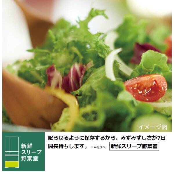 日立(HITACHI) 冷凍冷蔵庫 R-XG56Jの商品画像サムネ5 