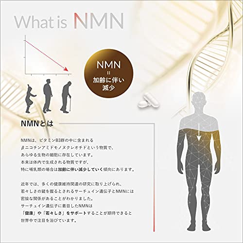 Gaah(ガー) INNER BEAUTY NMNの商品画像サムネ3 