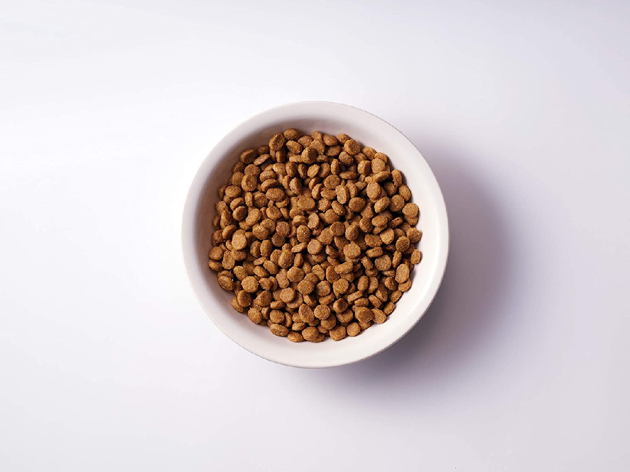 SOLVIDA(ソルビダ) グレインフリー チキン 室内飼育体重管理用の商品画像2 