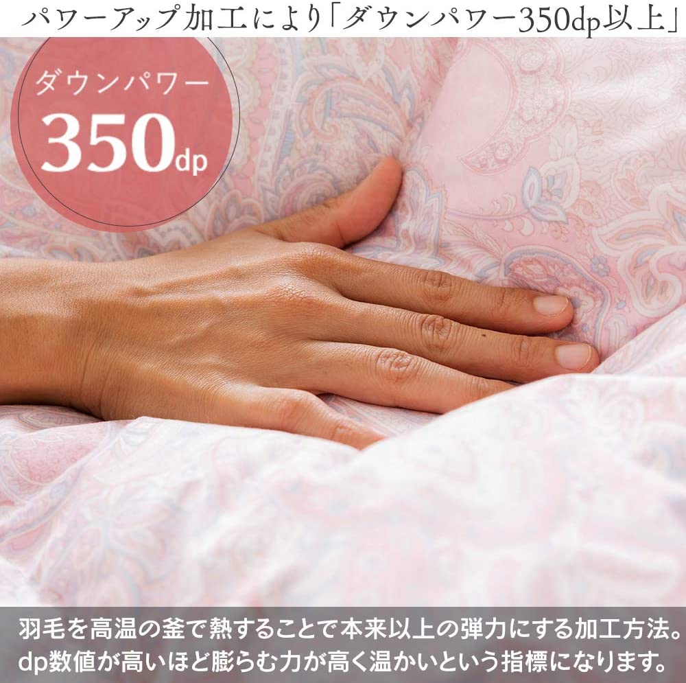 IRIS OHYAMA(アイリスオーヤマ) 羽毛掛け布団 SCDQ-SLの商品画像4 