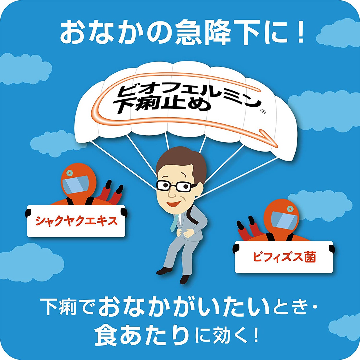 ビオフェルミン ビオフェルミン下痢止めの商品画像2 