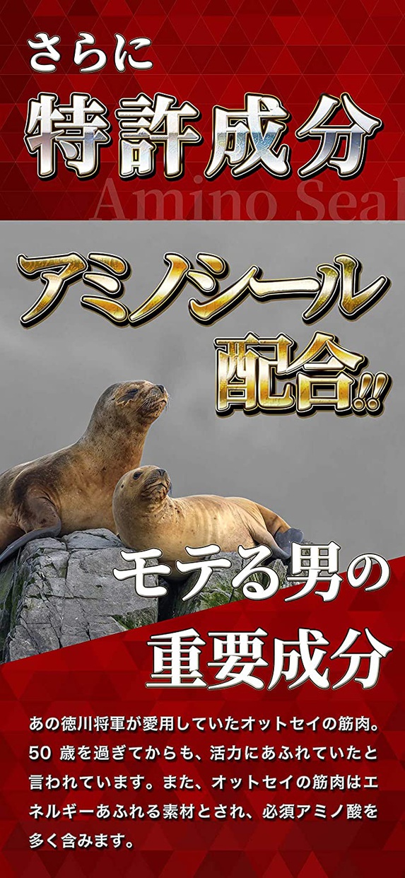 MAGINA(マギナ) TAGILASの商品画像4 