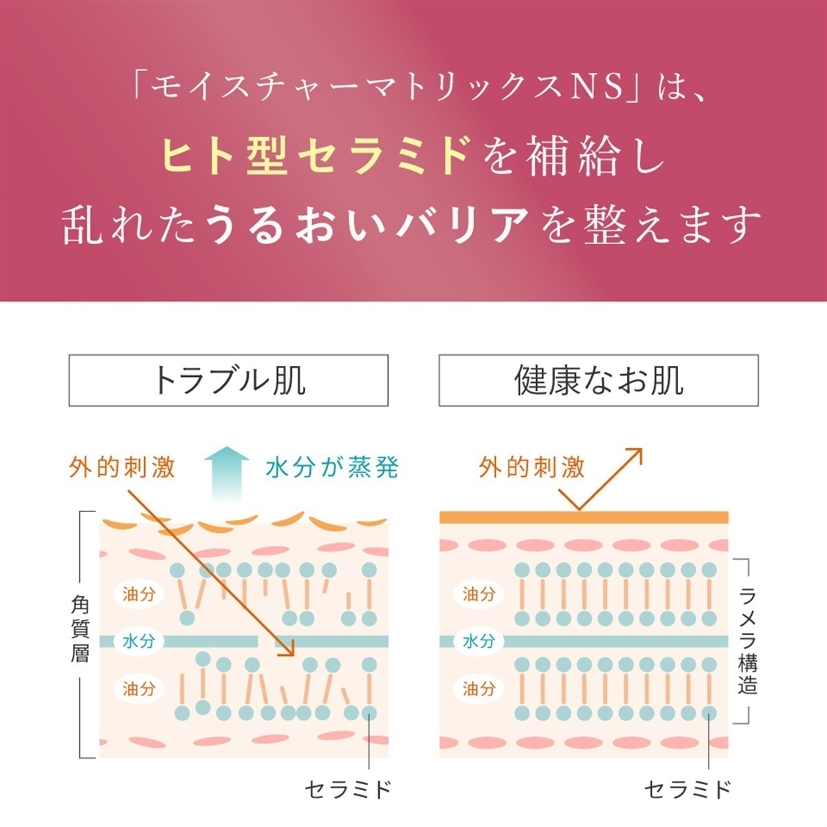 CherCheur(シェルシュール) モイスチャーマトリックスNSの商品画像3 