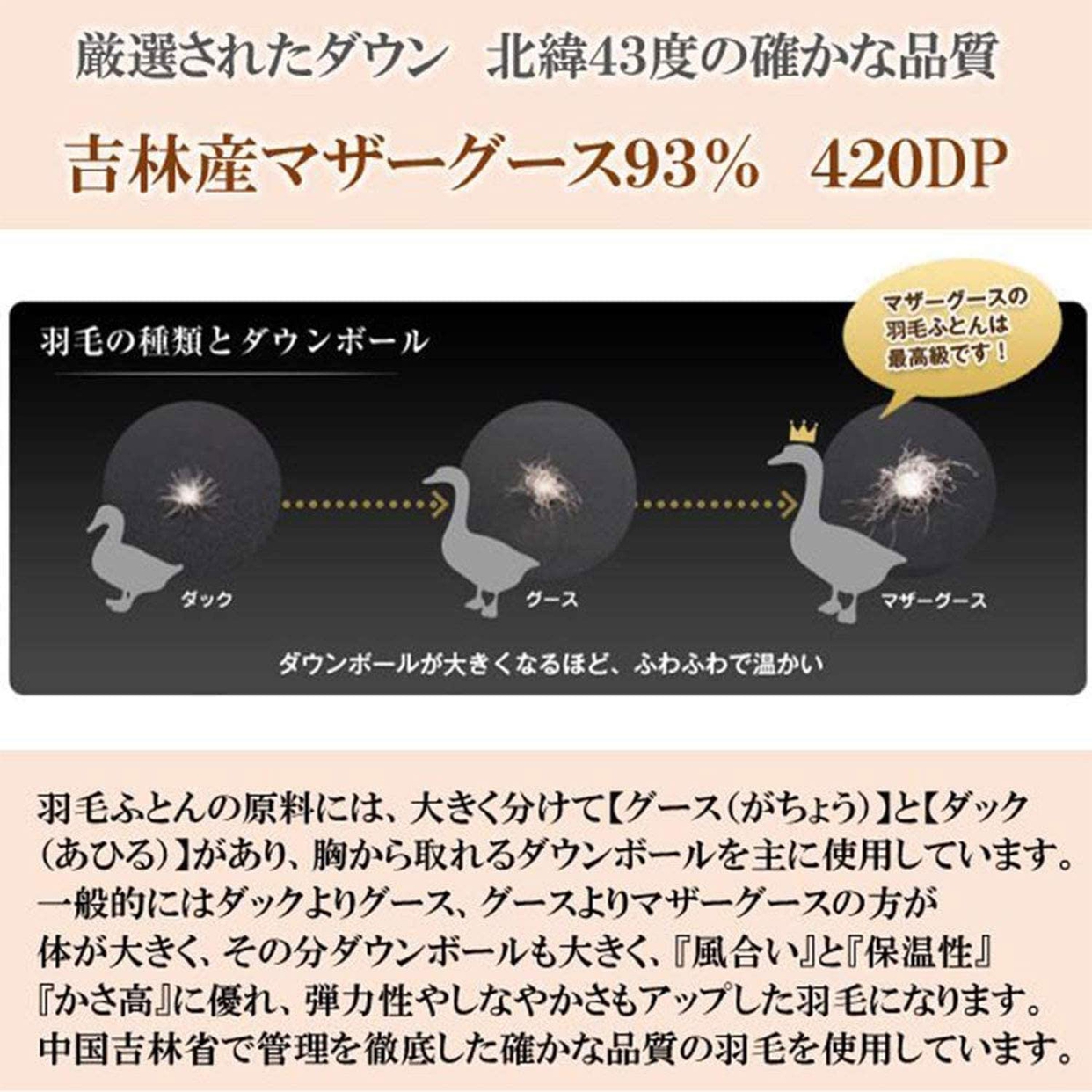 昭和西川(Nishikawa) 羽毛布団の商品画像5 