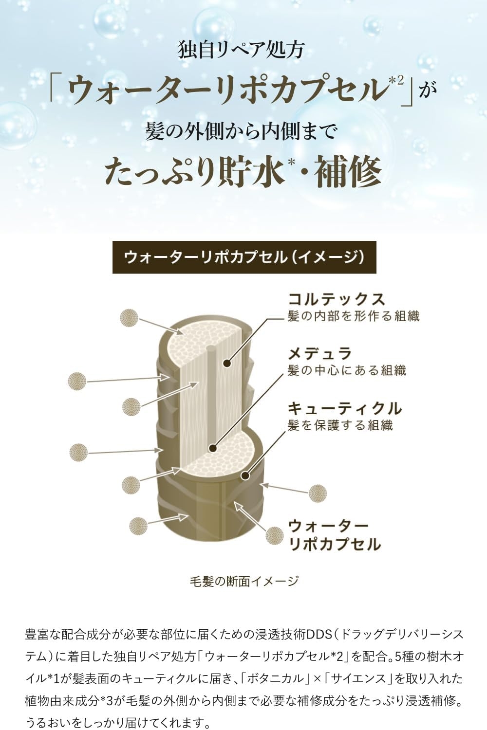 byTREES(バイツリーズ) うるモイストディープリペアヘアマスクの商品画像6 