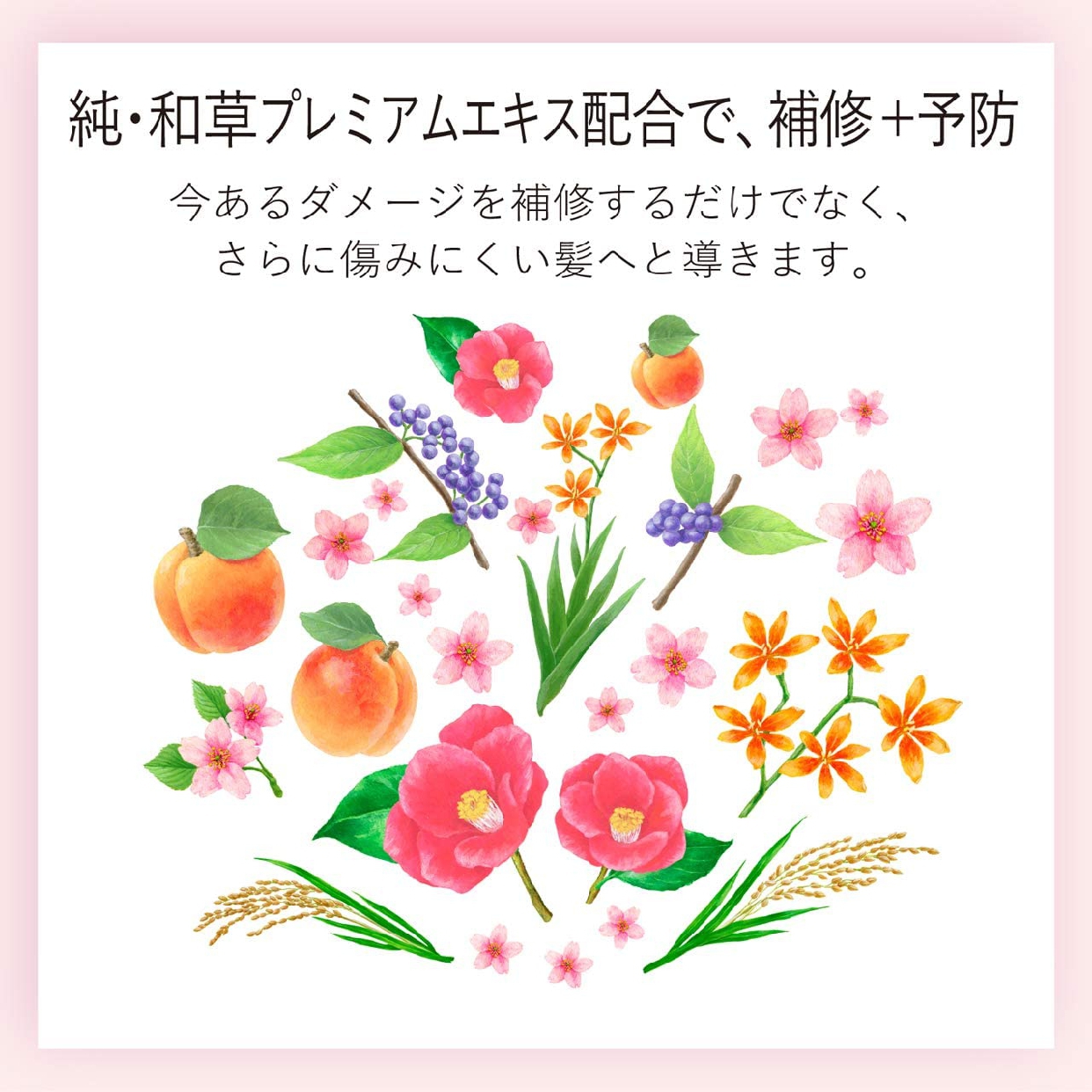 いち髪(ICHIKAMI) ふんわりさらさらケア シャンプーの商品画像8 