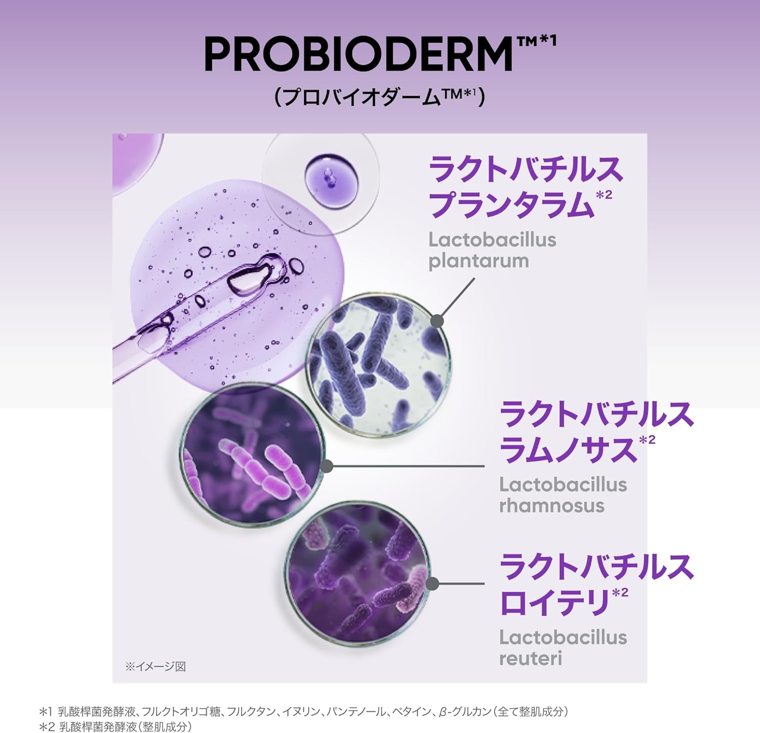 BIO HEAL BOH(バイオヒールボ) プロバイオダーム 3Dリフティング アイ＆リンクルクリームの商品画像4 