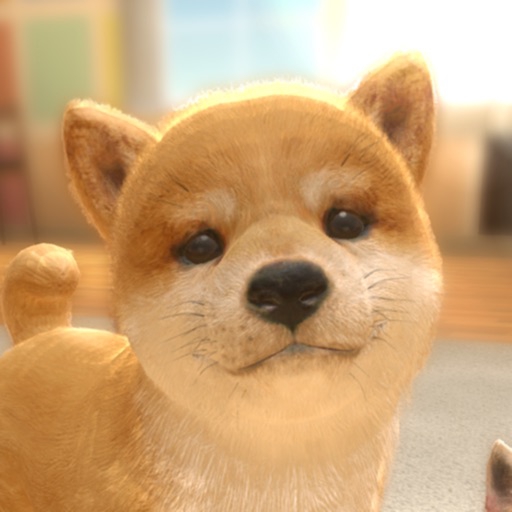 neilo(ネイロ) with My DOG - 犬とくらそう -の商品画像1 