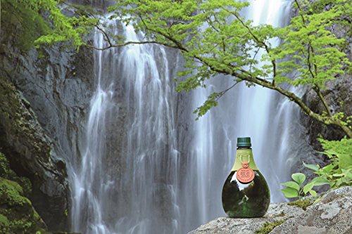 雲海酒造 マヤンの呟きの商品画像3 