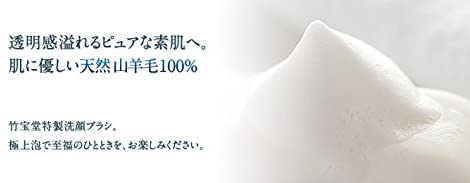 竹宝堂(CHIKUHODO) FA-6 洗顔ブラシの商品画像5 