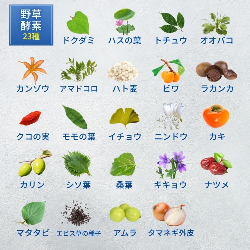 maruman(マルマン) まるっとリセットの商品画像6 