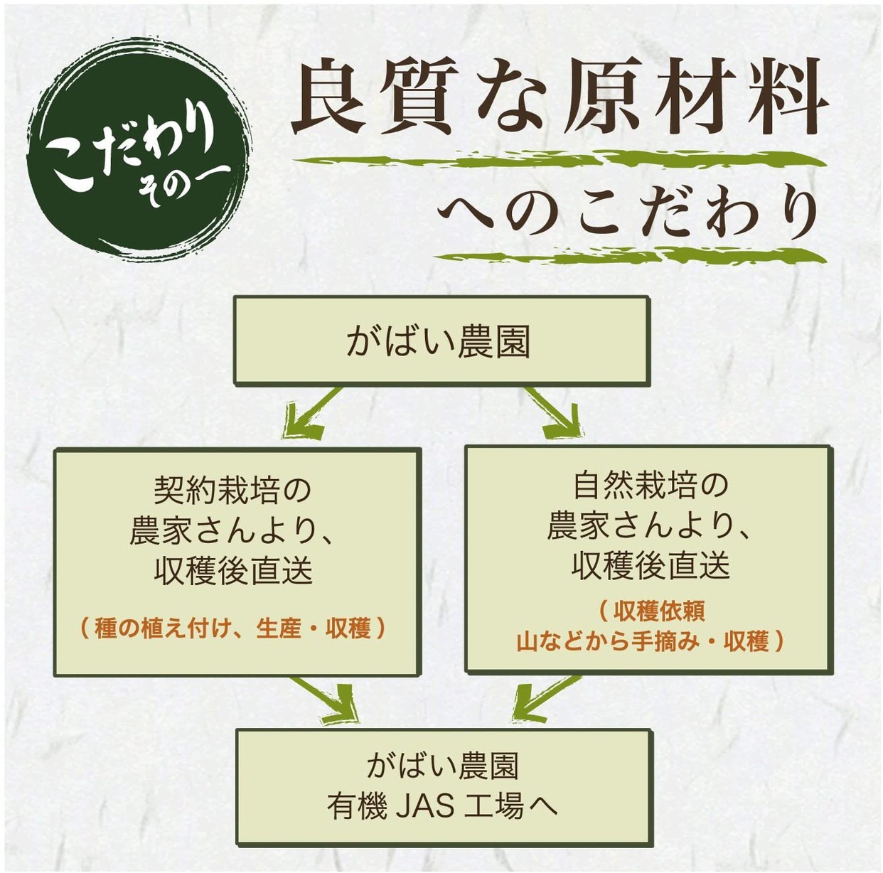がばい農園 たんぽぽコーヒーの商品画像3 