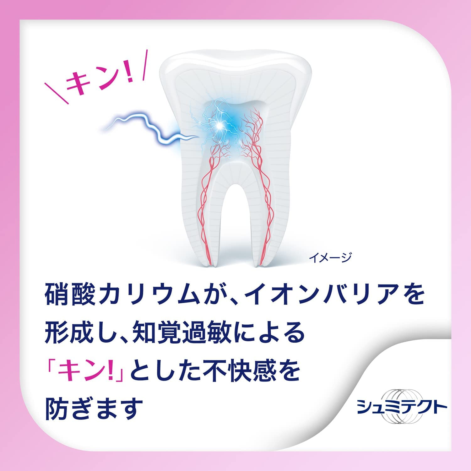 シュミテクト 歯周病ケアの商品画像5 