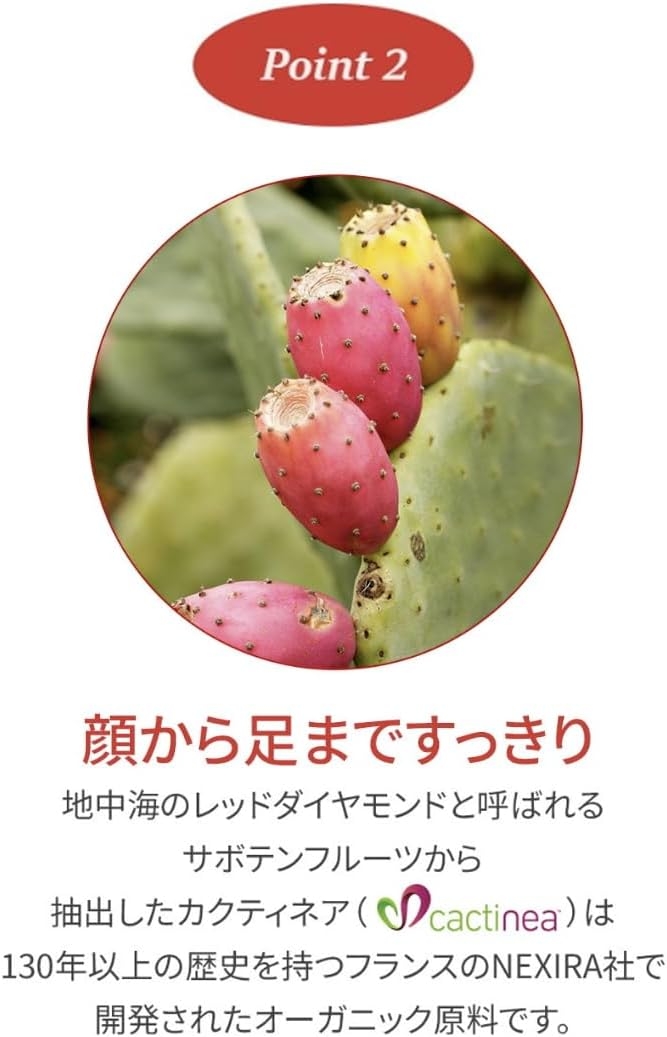 Kwangdong(クァンドン) 美減茶の商品画像5 