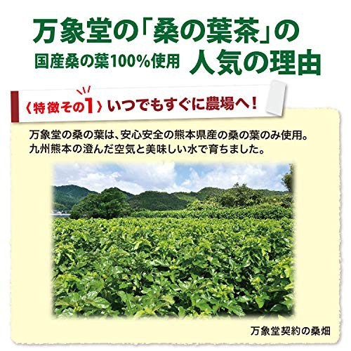 万象堂 桑の葉茶の商品画像7 