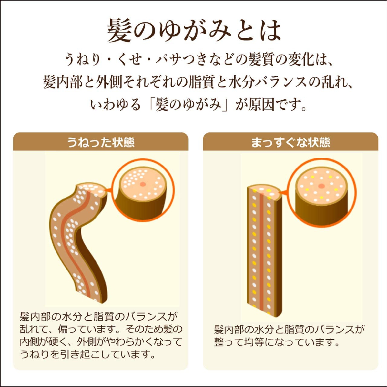 Dear Beauté HIMAWARI(ディアボーテ ヒマワリ) プレミアムトリートメントオイル (モイスト)の商品画像5 