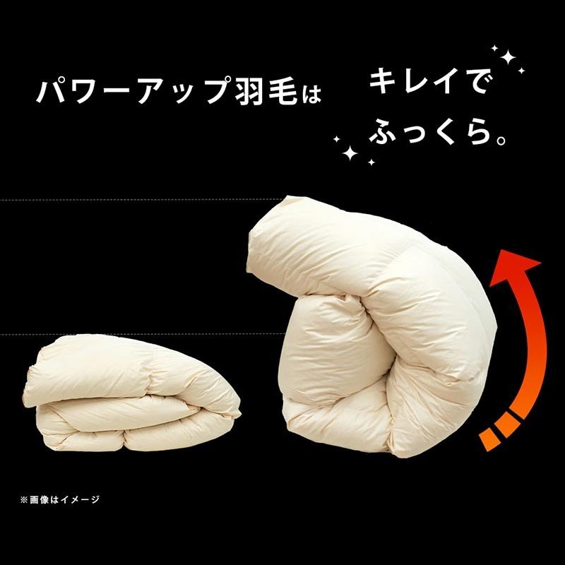 こだわり安眠館 羽毛布団 3SAの商品画像11 