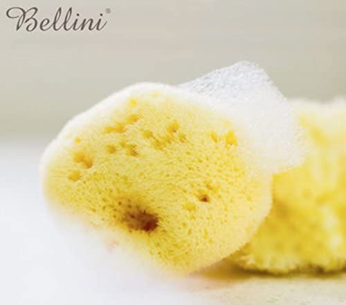 Bellini(ベリーニ) 天然海綿スポンジ シルク種 FD7の商品画像3 