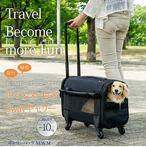 OFT(オーエフティー) キャリーバッグNEWの商品画像2 
