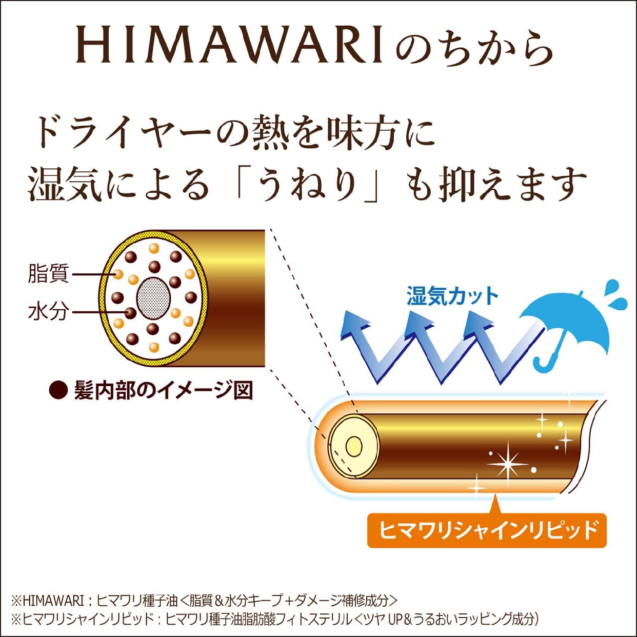 Dear Beauté HIMAWARI(ディアボーテ ヒマワリ) プレミアムトリートメントオイル (モイスト)の商品画像8 