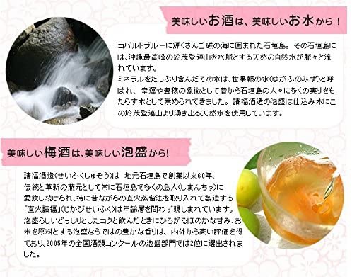 請福酒造 請福梅酒の商品画像4 